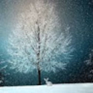 Meet your Posher, Miranda